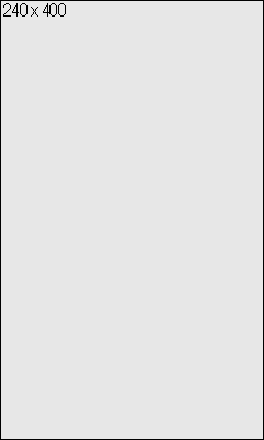 240x400 - Vertical Rectangle